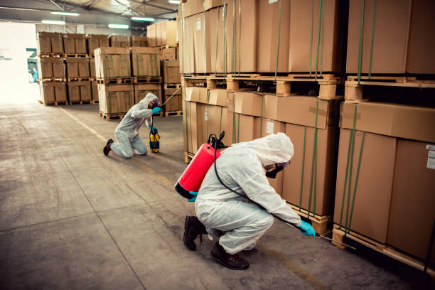  Boonville, CA Pest Control Pros