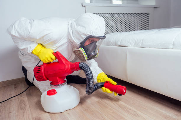 Professional Pest Control in Boonville, CA