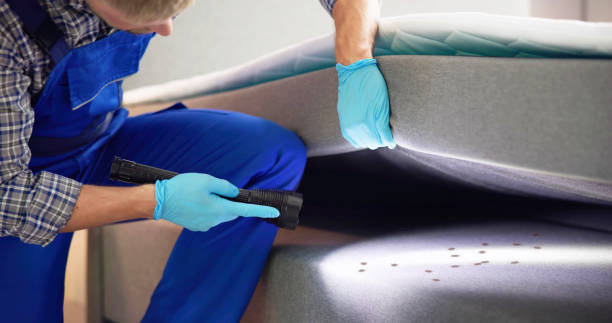 Pest Control for Restaurants in Boonville, CA