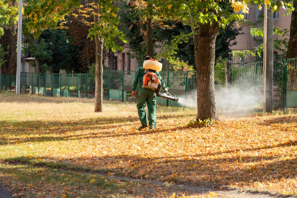 Best Wasp Removal Services  in Boonville, CA