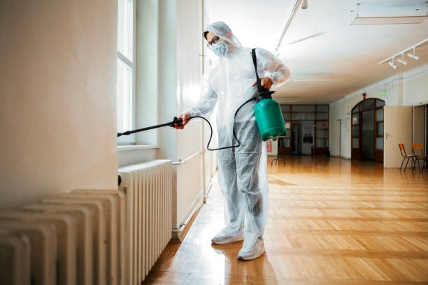 Best Affordable Pest Control Services  in Boonville, CA